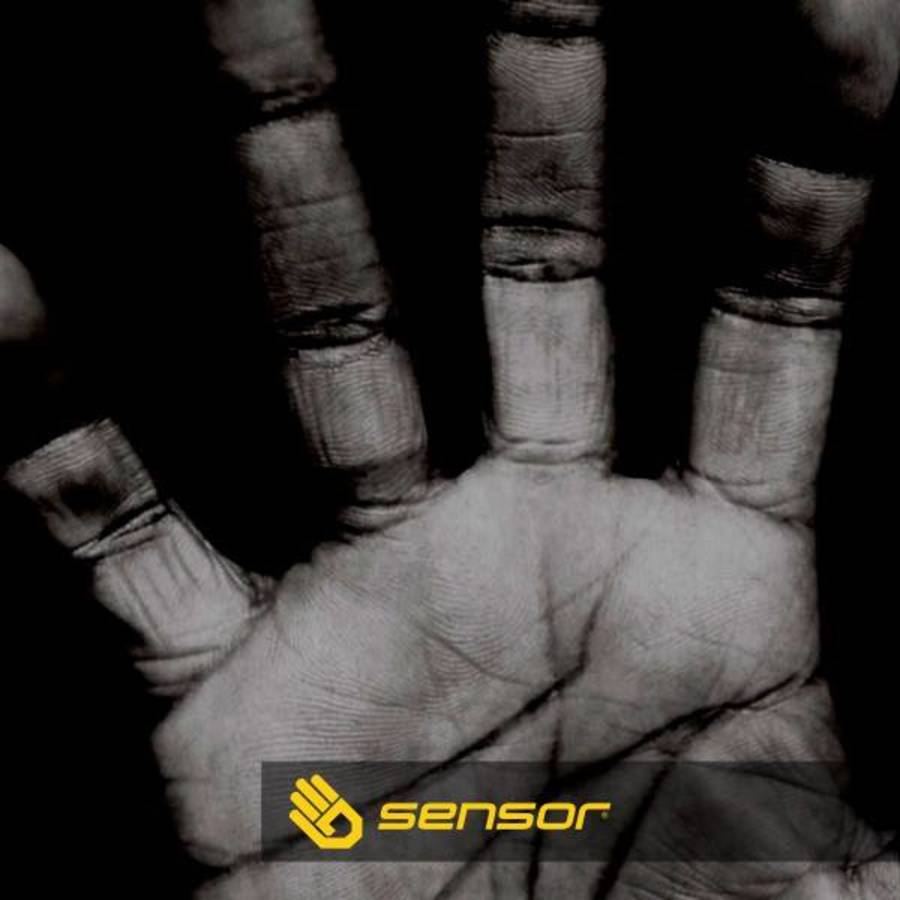 Sensor hand.jpg